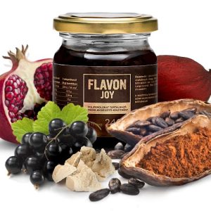 JOY PRÉMIUM gyümölcs-koncentrátum kakaóporral 12% (cukorbetegeknek is)